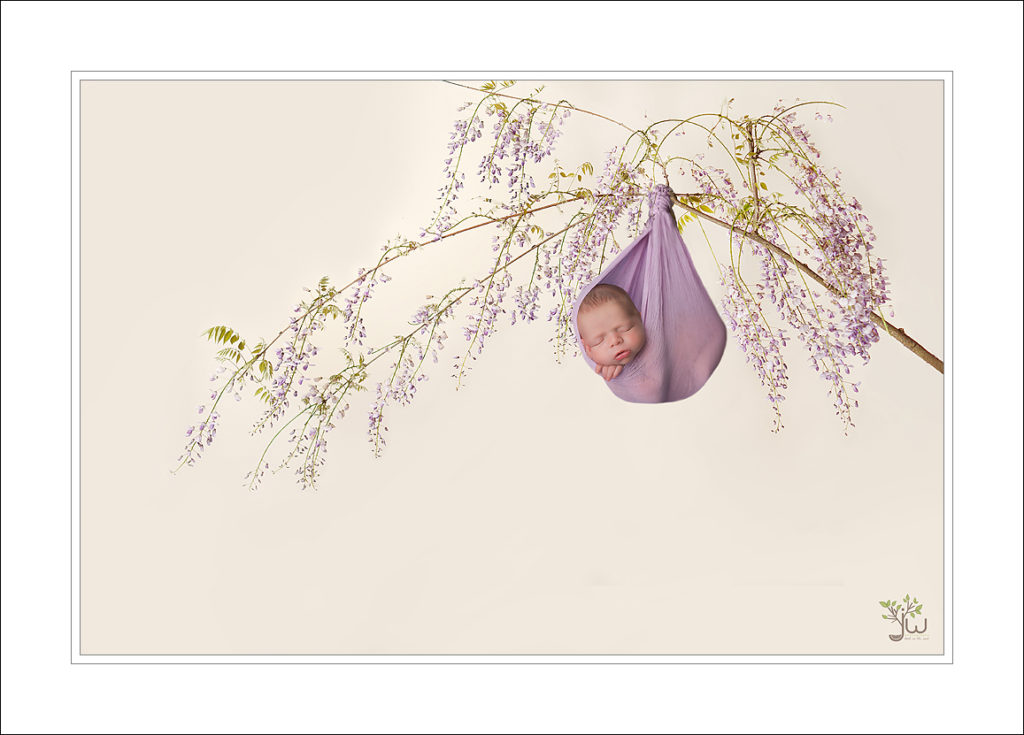 Best Gig Harbor newborn photography